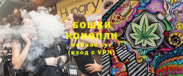дживик Бронницы