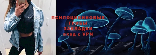 дживик Бронницы
