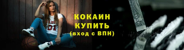 дживик Бронницы