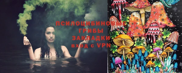 дживик Бронницы