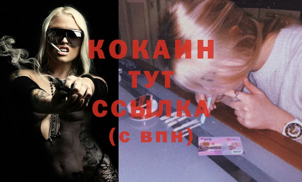 дживик Бронницы
