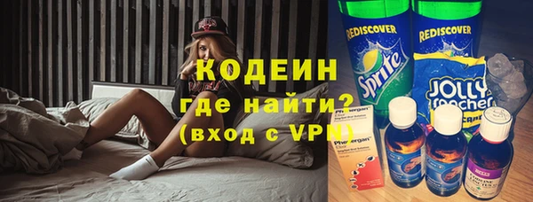 дживик Бронницы