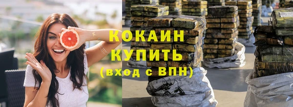 дживик Бронницы