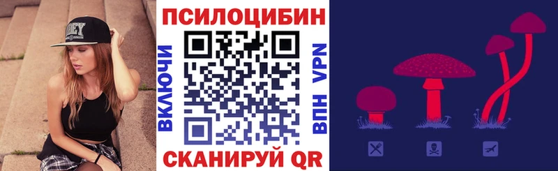 Псилоцибиновые грибы MAGIC MUSHROOMS Купить закладки Полысаево